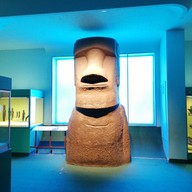 American Museum Of Natural History