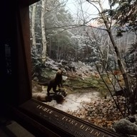 บรรยากาศ American Museum Of Natural History