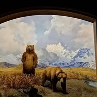 บรรยากาศ American Museum Of Natural History