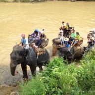 ปางช้างแม่ตะมาน
