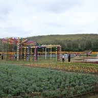 บรรยากาศ Jim Thompson Farm