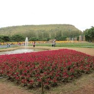 บรรยากาศ Jim Thompson Farm