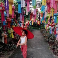 วัดป่าตาล บวกค้าง