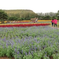 บรรยากาศ Jim Thompson Farm