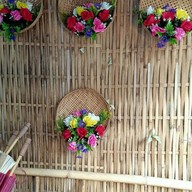 วัดป่าตาล บวกค้าง