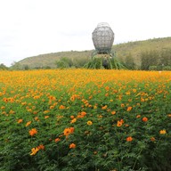 บรรยากาศ Jim Thompson Farm