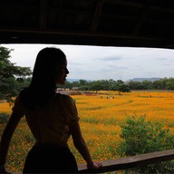 บรรยากาศ Jim Thompson Farm