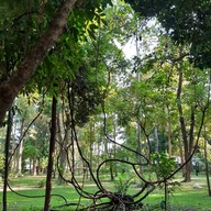 สวนรุกขชาติห้วยแก้ว