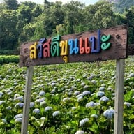 บรรยากาศ ศูนย์พัฒนาโครงการหลวง ขุนแปะ
