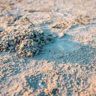 บ้านสวนอ่าวไข่