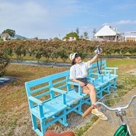 บรรยากาศ ฟ้าประทาน โรสพาร์ค วังน้ำเขียว