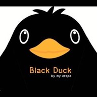 Black duck