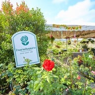 บรรยากาศ ฟ้าประทาน โรสพาร์ค วังน้ำเขียว