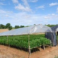 บรรยากาศ สวนเบญจมาศวิลาวัณย์