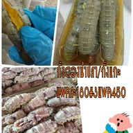 เมนู ปูไข่ดอง คลองเขาแดง