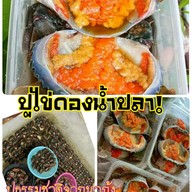 เมนู ปูไข่ดอง คลองเขาแดง
