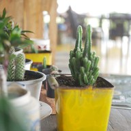 Cafe' Mee Coffee And Bread