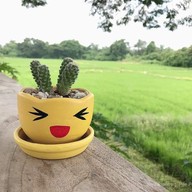 บ้านเพาะรัก