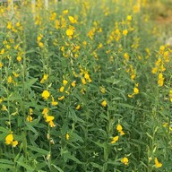 บ้านต้นจานฟาร์มสเตย์