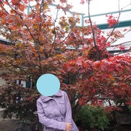 บรรยากาศ Arrowtown