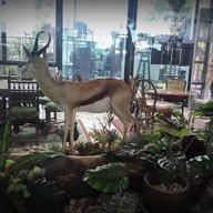 Thé Tea House Bangkok ช่างชุ่ย