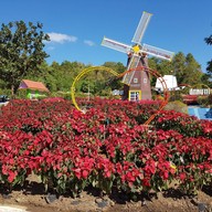 อุทยานแห่งชาติภูเรือ (ภูเรือ)