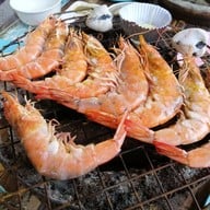 เมาทะเล ณ เชียงใหม่