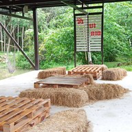 บรรยากาศ หนำวังยาวฟาร์ม