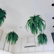 คำมูลคาเฟ่