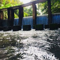 บ้านสวนทองคำโฮมสเตย์