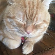 สองผัวเมีย  มุมกาแฟ & ห้องทานข้าว เชียงคาน