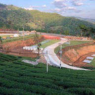 101 Tea Green View Resort