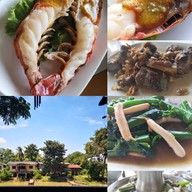 ยางเดี่ยว