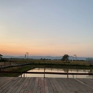 ฮ่มไม้ปลายนา