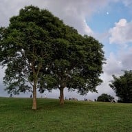 อุทยานแห่งชาติศรีน่าน