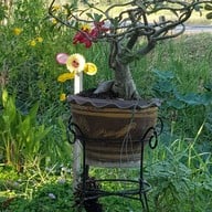 บรรยากาศ ล้านสลัดบัตรคิว