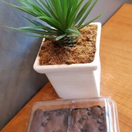 เมนูของร้าน B Bake