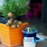 เมนูของร้าน BRUIN COFFEE ย้ายมาจากศรีภูมิ