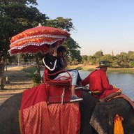 บรรยากาศ วังช้างอยุธยาแลเพนียด