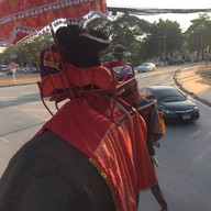 บรรยากาศ วังช้างอยุธยาแลเพนียด