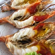 กุลากาสัย