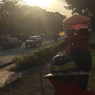 บรรยากาศ วังช้างอยุธยาแลเพนียด