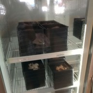 บรรยากาศ Shabu Indy & I Gyu Yakiniku