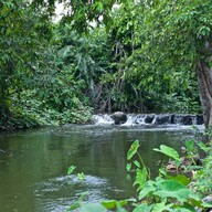 ไร่สานฝันธารน้ำใส