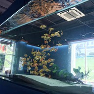 บรรยากาศ TANK Restaurant & Cafe