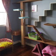 บรรยากาศ Cat Dominium Garden Hotel