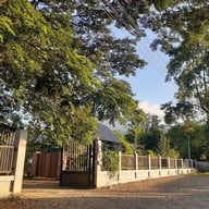 มะละกอกะปูม้า