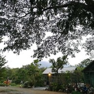 มะละกอกะปูม้า