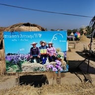 สวนดอก ป้าจวน ลุงใจ๋