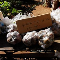 ทุ่งไฮเดรนเยีย โครงการหลวงขุนแปะ